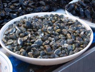 a910081752-al-mercatale-di-empoli-anche-il-pescato-viareggino