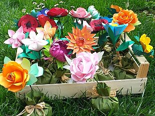 succede-a-siena-a-siena-i-ragazzi-del-caselli-battezzano-i-fiori-quavio-per-la-mamma