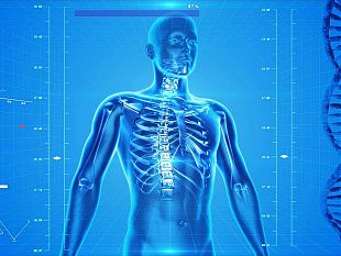 immunita-innata-e-acquisita-possibile-svolta-nella-lotta-al-covid