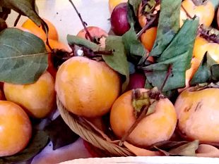 cachi-o-diosperi-come-farli-maturare-meglio