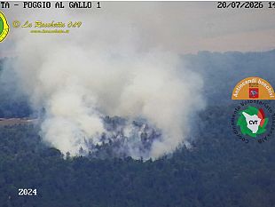incendio-boschivo-oggi-a-sovicille