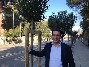 pisa-piantumati-110-nuovi-alberelli-in-via-bonanno