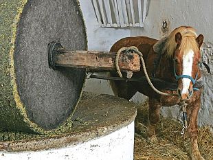 questo-week-end-girolio-ditalia-a-san-casciano