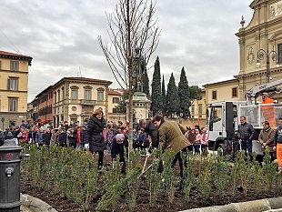 san-marco-nuova-vita-il-sindaco-pianta-i-nuovi-alberi