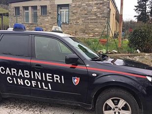 cocaina-banda-criminale-in-toscana-dedita-allo-spaccio-tra-firenze-pisa-lucca-e-la-versilia
