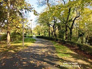 sicurezza-a-firenze-sentinelle-di-quartiere-in-giardini-e-piazze
