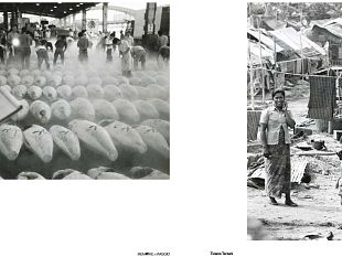 terzani-e-maraini-una-mostra-itinerante-celebra-i-due-grandi-toscani