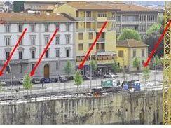 espansione-cantiere-in-viale-belfiore-alberi-comunali-da-tutelare