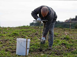 misure-alternative-alla-detenzione