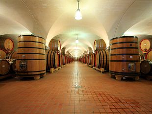la-vecchia-cantina-di-montepulciano-si-rinnova-per-i-suoi-80-anni