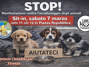 accattonaggio-con-animali-a-firenze-esposto-in-procura