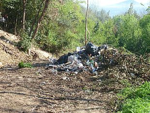 questua-molesta-multate-e-denunciate-quattro-persone