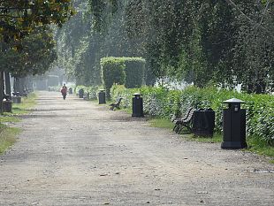 cascine-il-parco-sospeso-firenze-aspetta-la-rinascita