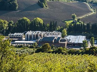 vino-colli-fiorentini-registra-nel-2020-piu-9-di-uva-e-22-nuovi-soci