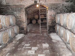 alla-scoperta-dei-vini-della-fattoria-poggio-capponi