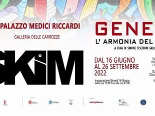 larmonia-del-kaos-di-skim