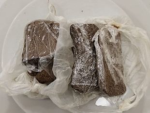 hashish-nelle-fiorierie-davanti-alla-fortezza-da-basso