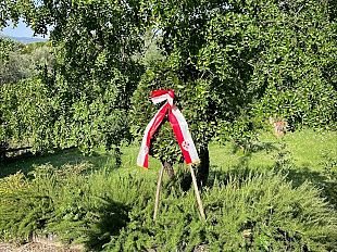 oggi-la-commemorazione-dei-porrajmos