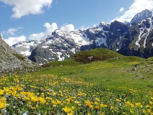 ripristino-della-natura-summit-di-alto-livello-ai-georgofili