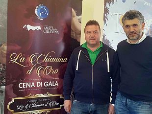 arezzo-torna-la-chianina-doro