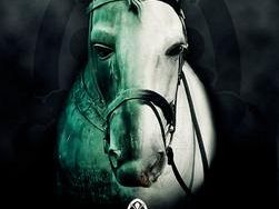 al-purosangue-demeteor-la-187esima-corsa-dellarno