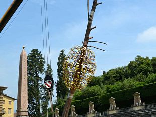 firenze-allanfiteatro-del-giardino-di-boboli-messa-in-posa-lopera-luce-e-ombra-di-giuseppe-penone