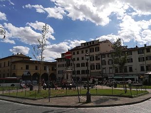 alberi-tagliati-a-firenze-polemica-con-lettera-al-sindaco
