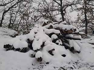 meteo-neve-e-vento-in-alto-mugello