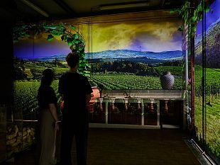 cantina-didattica-nasce-la-prima-immersive-winery