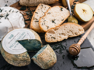 italian-taste-experience-120-aziende-raccontano-leccellenza-italiana-a-tavola