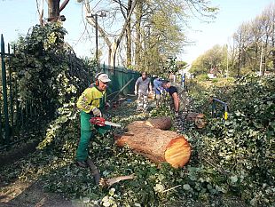 nubifragio-domani-liniziativa-di-pulizia-collettiva-firenze-siamo-noi