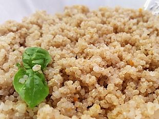 la-quinoa-quipu-unopportunita-per-gli-agricoltori