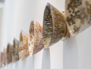 a-montelupo-fiorentino-torna-ceramica