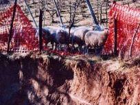 a602021848-tav-bologna-firenze-fine-dei-lavori-non-sembra-proprio