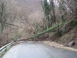 b101071705-sr-302-brisighellese-ravennate-da-rimuovere-1500-metri-cubi-di-materiale