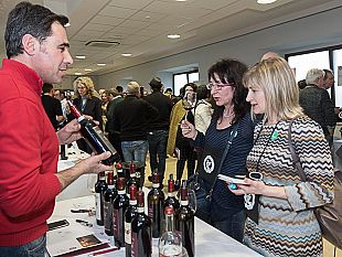 il-vino-toscano-si-presenta-al-mondo-con-sting-come-testimonial