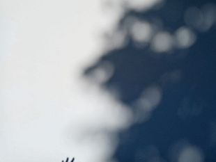 degrado-e-aggressioni-vicino-ai-supermercati-la-lega-lancia-lallarme