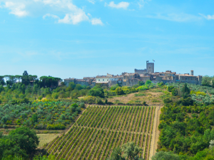 festa-della-misericordia-a-castellina-in-chianti