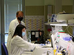 malattie-renali-genetiche-studio-del-meyer