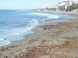 chiusa-la-pesca-alle-telline-multe-salatissime-ai-trasgressori