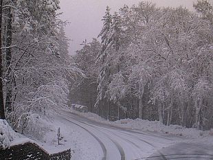 neve-in-toscana-disagi-in-mugello-blackout-alberi-caduti-strade-chiuse