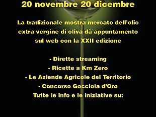 primolio-la-xxii-edizione-della-festa-dellolio-extra-vergine-doliva-sul-web