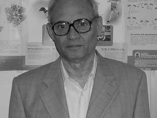 universita-di-pisa-si-e-spento-il-professor-renzo-rossi