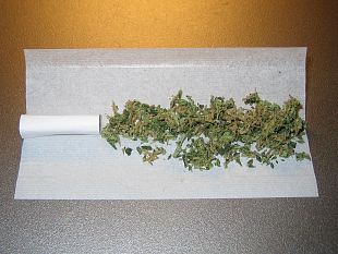 droghe-leggere-la-toscana-ha-firmato-per-la-legalizzazione