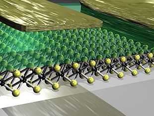 a-200-giorni-dallexpo-la-toscana-presenta-le-migliori-idee-innovative-e-buone-pratiche