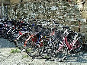 b309191348-firenze-la-squadra-volante-arresta-un-pericoloso-ladro-di-biciclette