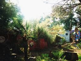 b312051624-il-pittore-e-scultore-italo-bolano-alla-biennale-di-firenze