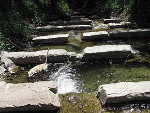 b108011404-in-arno-i-campionati-mondiali-di-pesca-sportiva