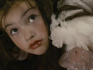 b312061632-una-finestra-sul-nord-al-cinema-odeon