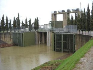 b001171356-consorzio-di-bonifica-area-fiorentina-progetti-e-prospettive-per-il-2010